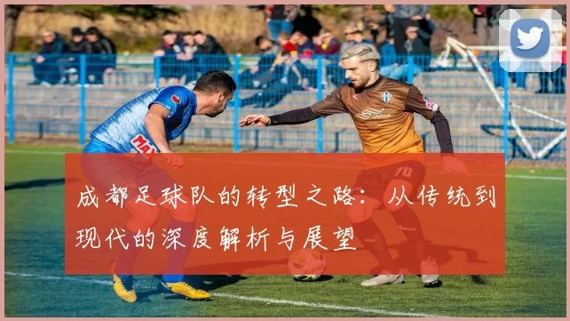 成都足球队的转型之路：从传统到现代的深度解析与展望