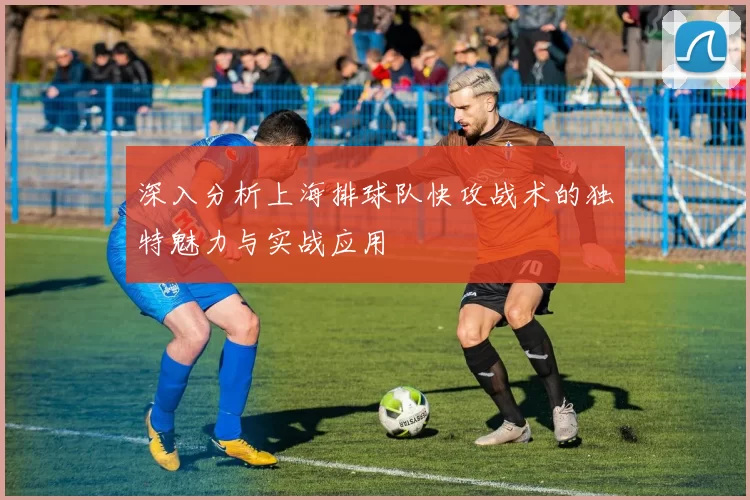 深入分析上海排球队快攻战术的独特魅力与实战应用