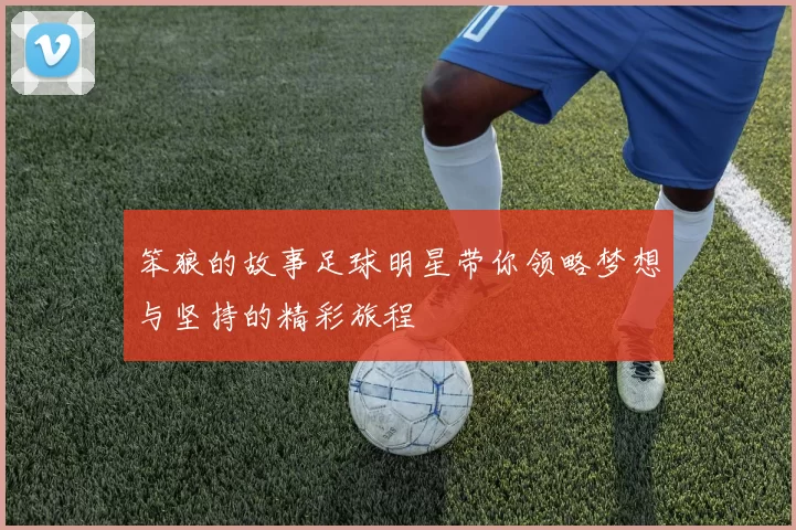 笨狼的故事足球明星带你领略梦想与坚持的精彩旅程