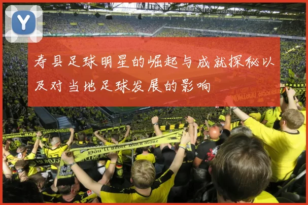 寿县足球明星的崛起与成就探秘以及对当地足球发展的影响