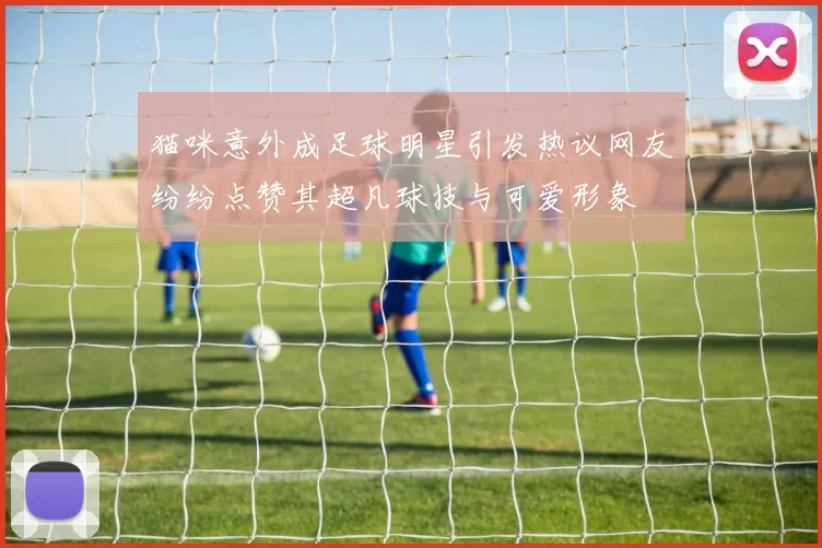 猫咪意外成足球明星引发热议网友纷纷点赞其超凡球技与可爱形象