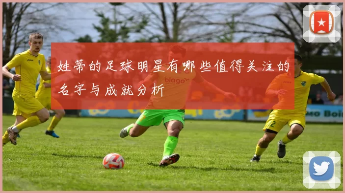姓蒂的足球明星有哪些值得关注的名字与成就分析